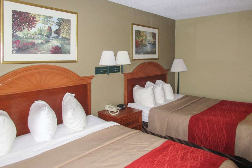 Quality Inn & Suites Ferdinand Room photo